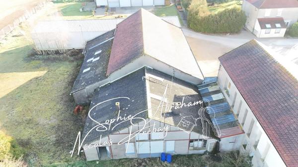 ENTREPÔTS ET MAISONS D'HABITATION SUR 2 HECTARES