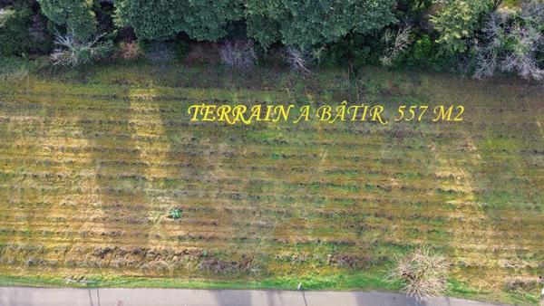 SAINTE CECILE LES VIGNES : TERRAIN  A BÂTIR  DE 557 m2 CHEMIN VIEUX