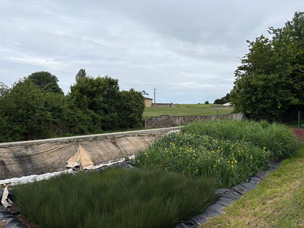 Terrain Surgères