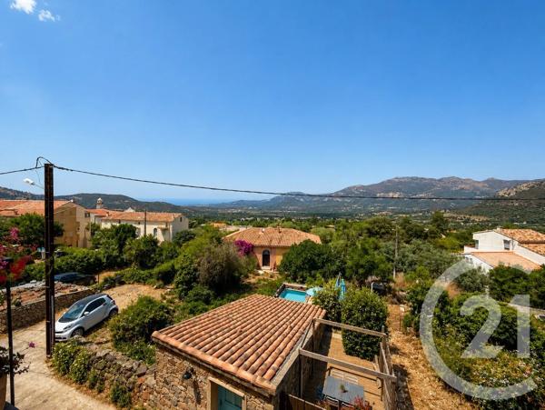 Maison à vendre  3 pièces - 52,20 m 2   CALENZANA  - 202