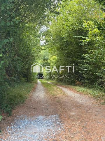 Rare : maison de charme en pleine nature avec 1,6 ha de terrain