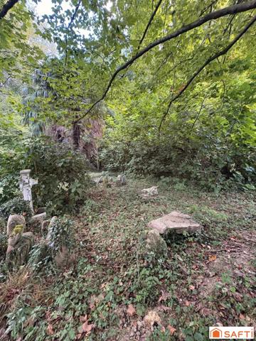 Rare : maison de charme en pleine nature avec 1,6 ha de terrain