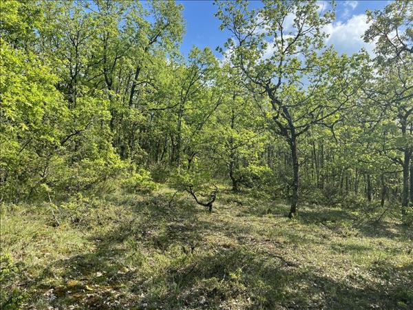 Terrain à vendre |  Cuzance |  5047 m²