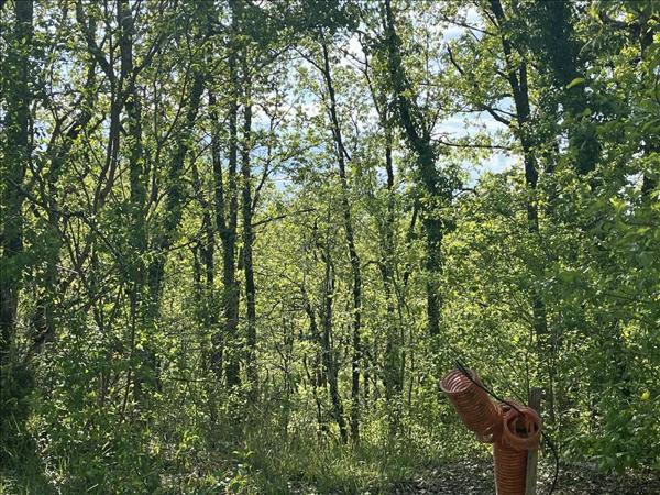 Terrain à vendre |  Cuzance |  5047 m²