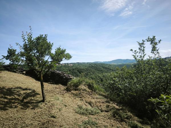 Terrain avec vue – 1 431 m² – Tartaras