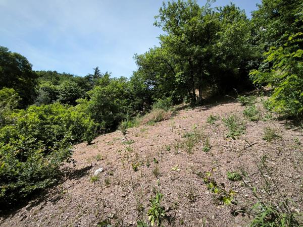 Terrain avec vue – 1 431 m² – Tartaras