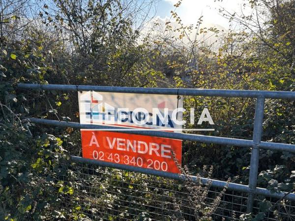 À vendre Terrain 716 m² - Fyé 72610