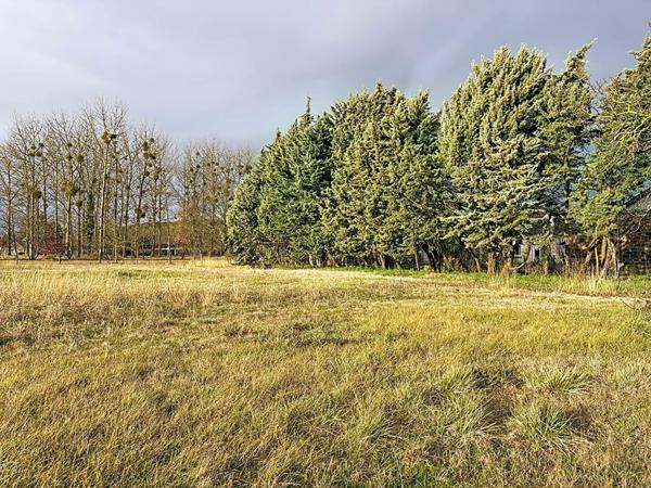 Maison située aux Bois d'Anjou avec 6 chambres un grand terrain et une superbe dépendance.