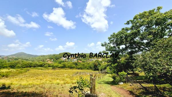 Ensemble Immobilier à RIVIERE SALEE (97215)