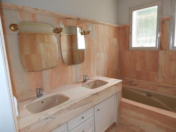 Maison Ormes 6 pièce(s) 193 m2 terrain 5664m²