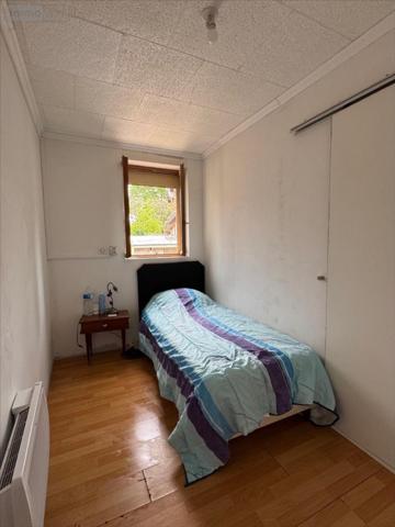 Maison à vendre à Boynes dans le Loiret (45300), ref : RV/JOUS