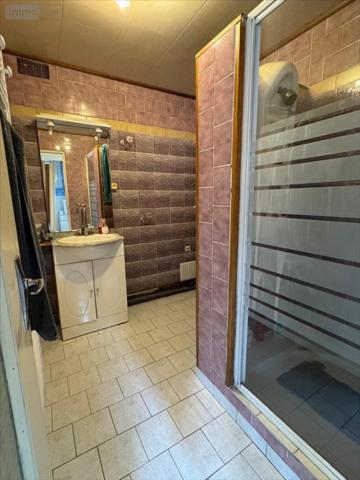 Maison à vendre à Boynes dans le Loiret (45300), ref : RV/JOUS