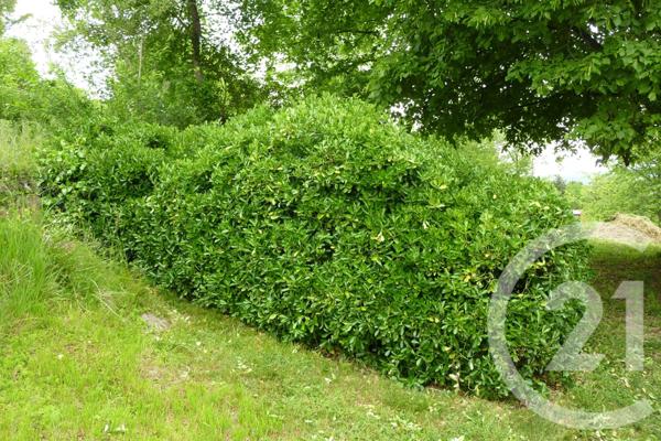 Terrain à vendre  1901 m2 LAFFITE TOUPIERE - 31