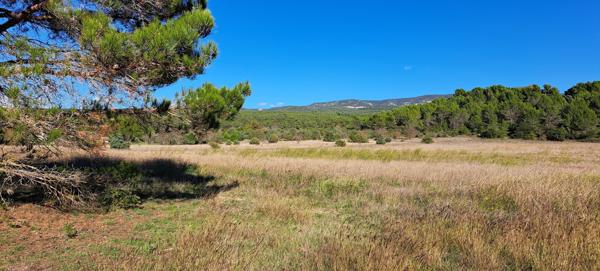 L'Isle-sur-la-Sorgue (84800) SAUMANE DE VAUCLUSE