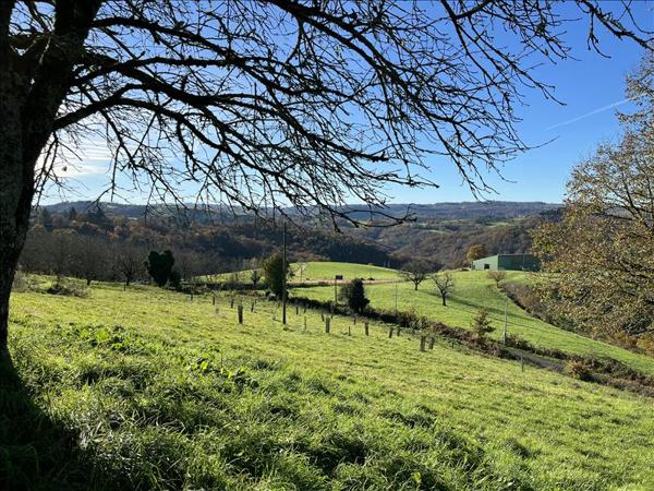 Terrain à vendre |  Albignac |  8153 m²