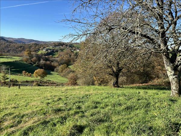 Terrain à vendre |  Albignac |  8153 m²