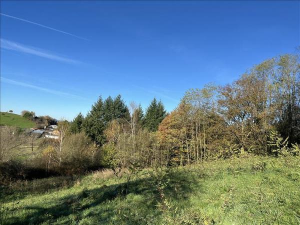 Terrain à vendre |  Albignac |  8153 m²