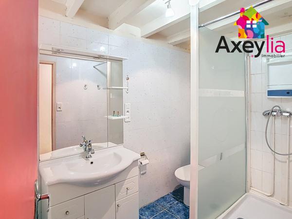 Vichy (03200) A VENDRE - 35 MIN DE VICHY - MAISON EN PIERRE 3 CHAMBRES AVEC GRANGE