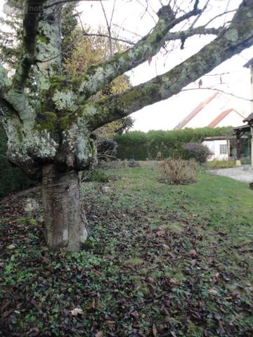 Maison à vendre à Mâcon en Saône-et-Loire (71000), ref : MA 674