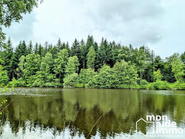 Propriété de 2.65 hectares dont 2 hectares de lac