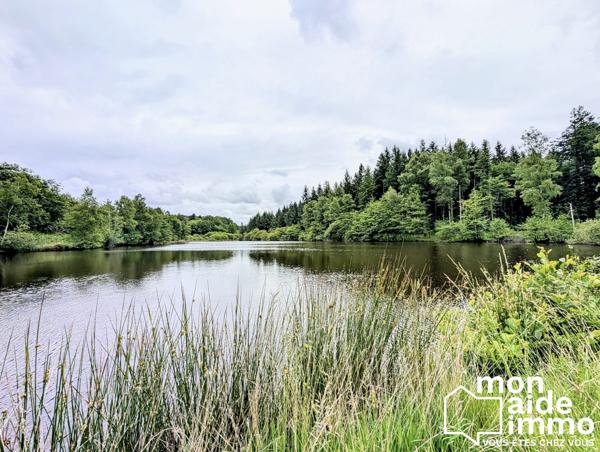 Propriété de 2.65 hectares dont 2 hectares de lac