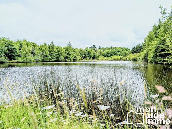 Propriété de 2.65 hectares dont 2 hectares de lac