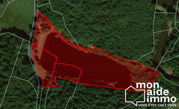 Propriété de 2.65 hectares dont 2 hectares de lac
