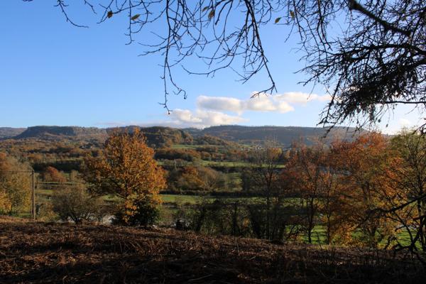 TERRAIN CONSTRUCTIBLE DE 1998 M2 Ydes (15210)