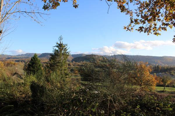 TERRAIN CONSTRUCTIBLE DE 1998 M2 Ydes (15210)