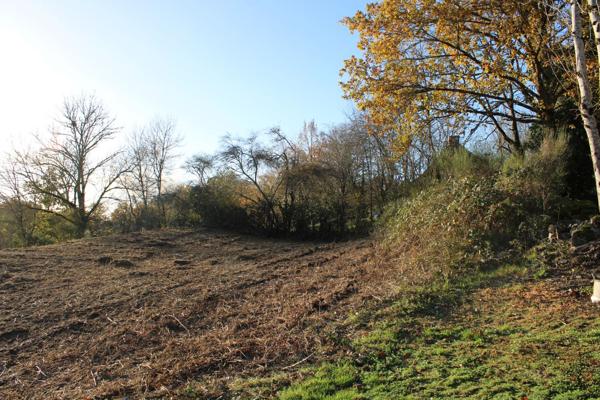 TERRAIN CONSTRUCTIBLE DE 1998 M2 Ydes (15210)