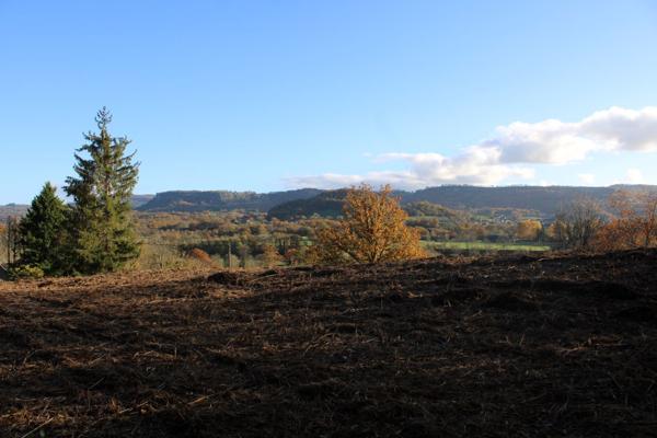 TERRAIN CONSTRUCTIBLE DE 1998 M2 Ydes (15210)