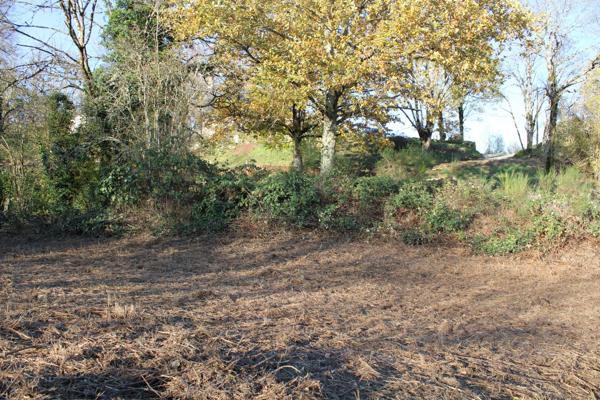 TERRAIN CONSTRUCTIBLE DE 1998 M2 Ydes (15210)