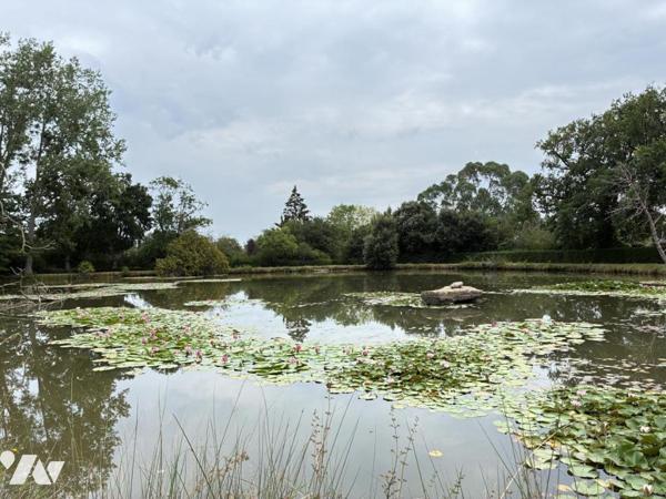 BREE, terrain de loisirs avec plan d'eau
