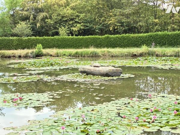 BREE, terrain de loisirs avec plan d'eau