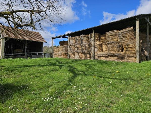 Corps de ferme en pierre - Un coin de paradis pour les amoureux de nature et de liberté Saint geyrac