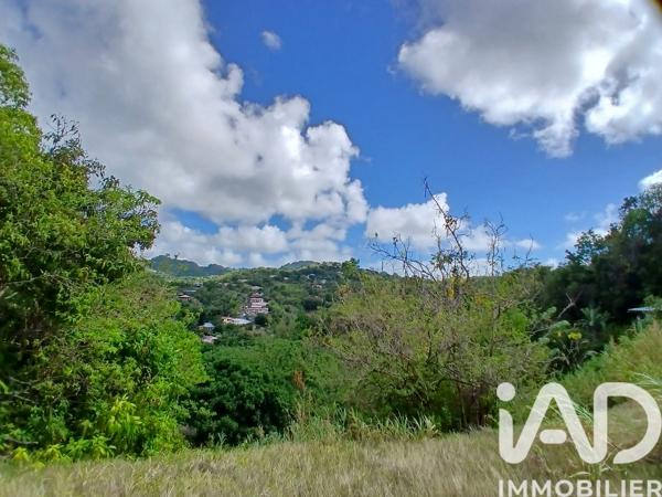 Terrain à vendre 11 000 m² Rivière-Pilote