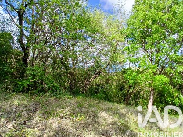 Terrain à vendre 11 000 m² Rivière-Pilote