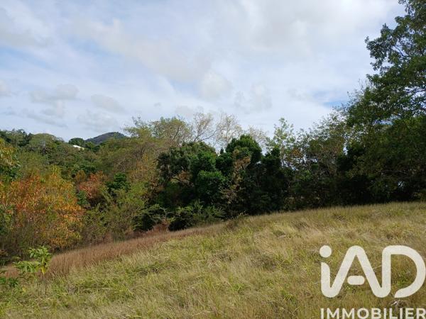 Terrain à vendre 11 000 m² Rivière-Pilote