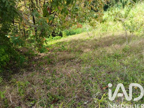 Terrain à vendre 11 000 m² Rivière-Pilote