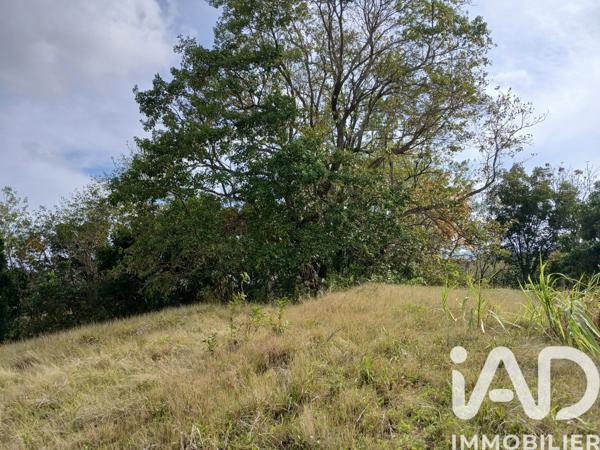 Terrain à vendre 11 000 m² Rivière-Pilote