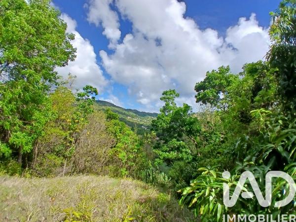 Terrain à vendre 11 000 m² Rivière-Pilote