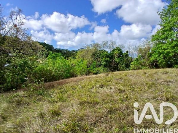 Terrain à vendre 11 000 m² Rivière-Pilote