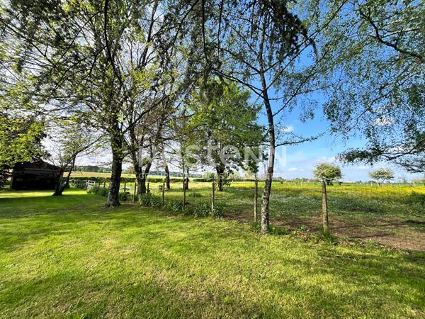 Maison atypique avec grand terrain et dépendances à Saint-Hilaire-des-Loges