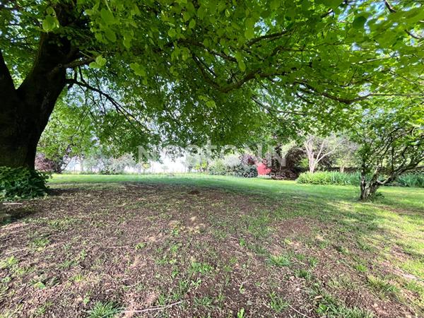 Maison atypique avec grand terrain et dépendances à Saint-Hilaire-des-Loges