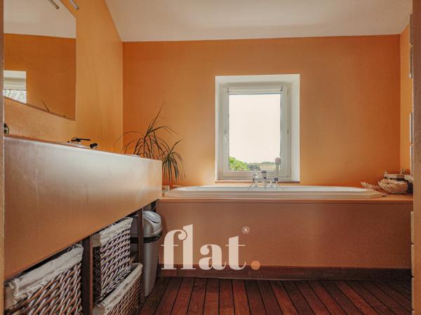 PROPRIETE 6 pièces 351 m2 / 8 000 m2 clos / AIGREFEUILLE-SUR-MAINE/ 4 CH / Piscine / dépendances aménagées