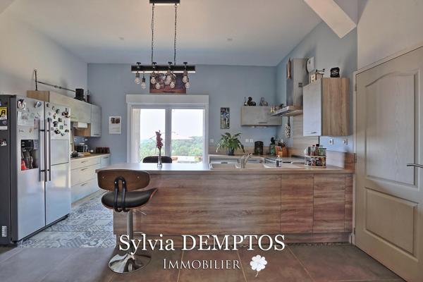 Ferme landaise sans vis à vis, avec vue sur les Pyrénées et la Rhune.