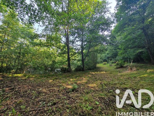 Terrain à vendre 10 000 m² Bourguignon-sous-Montbavin