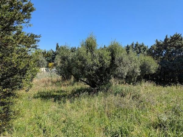 Maison de plain-pied jardin 1600m2 environ