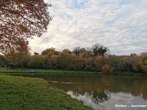 Etang - Carpodrome à Bais