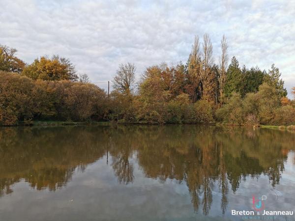 Etang - Carpodrome à Bais